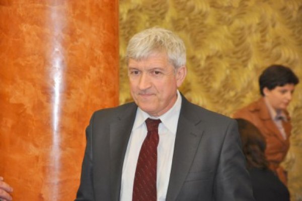 Mircea Diaconu, fost senator PNL: